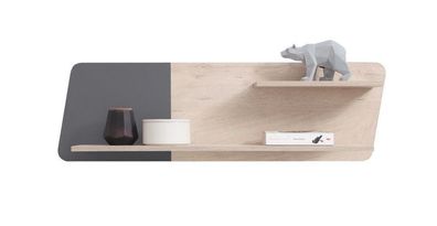 Hängeregal Wandregal Wandboard DELTA DL13