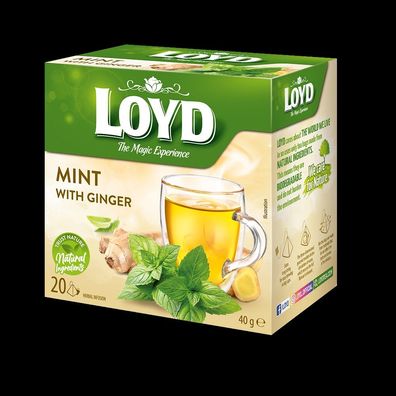 Loyd Minze mit Ingwer 20 Teebeutel