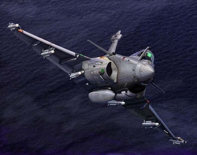 Trumpeter 1:144 3914 French Rafale M - NEU