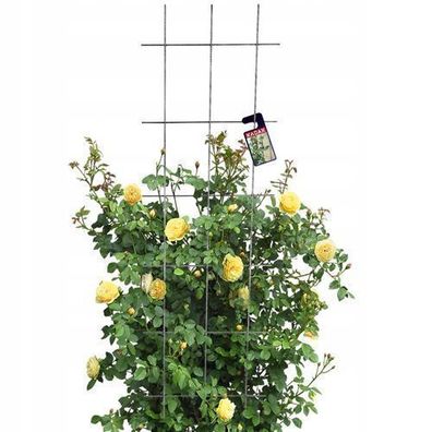 KADAX Rankgitter, Gitterspalier für Garten, 150 cm