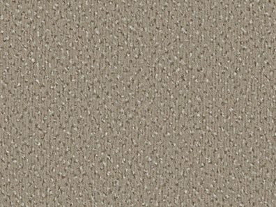 Vorwerk Alexis 8L89 Velours Teppichboden 4/5m breit - keine Versandkosten