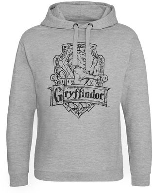 Harry Potter Hoodie Gryffindor Washed Crest Epic WB-37-HP020