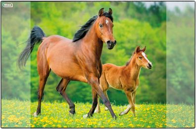 Idena 10454 - Schreibtischunterlage mit zwei Einstecktaschen, Pferd, ca. 58,5 x 38,5