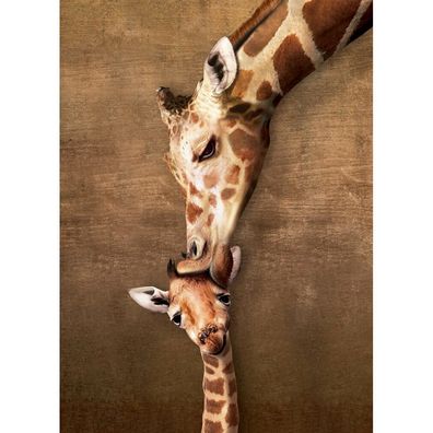 Eurographics Giraffenkuss Puzzle XL 500 Teile