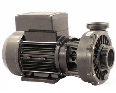 Waterway Hi-Flo zweistufige Pumpe 3421621-10CE