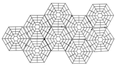 Teichgitter Vogelschutz 20er