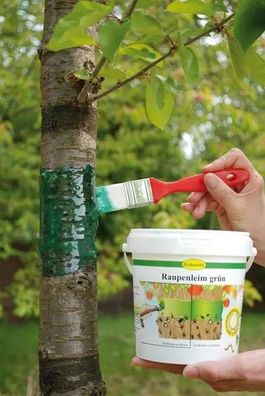 Raupenleim grün 250g