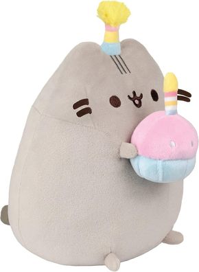 Birthday Party Pusheen 9.5In/24cm