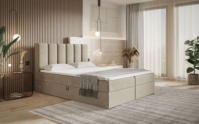 AX LIVING Boxspringbett Bonio I - 160 cm Breite, Schlafkomfort JS24