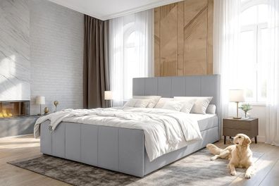 AX LIVING Levente Boxbett mit Bettkasten 140x200 graues Boxspringbett