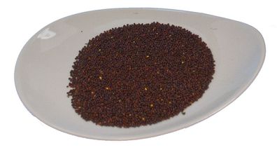 SENA -Premium - ganze Senfsaat braun