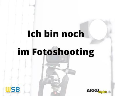 SSB Blei Akku SBLFT 55-12i AGM Batterie M6 Schraubanschluss - 12V 55Ah