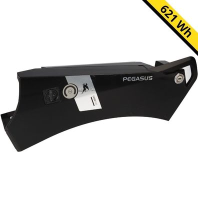 Alber Green Mover E-Bike Akku - 36V 17,25Ah 621Wh