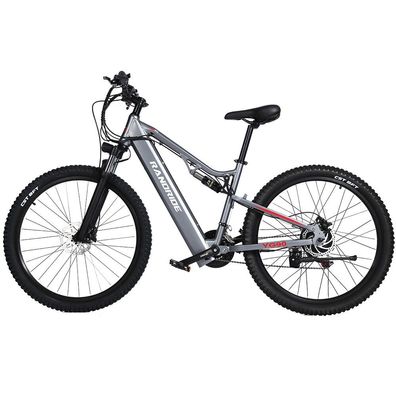 Randride YG90A E-Bike 1000W Motor 27,5 Zoll Reifen 48V17Ah Batterie