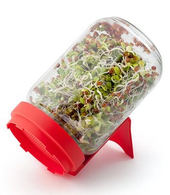 Sprossenglas Rot 1 Stück - Keimsprossen & Keimlinge einfach zuhause ziehen