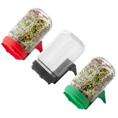 Sprossenglas 3er-Set Rot, Anthrazit + Grün á 720 ml - Keimsprossen zuhause ziehen