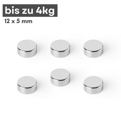 500 Stück Neodym Magnet Ø 12mm x 5mm - Starker Scheibenmagnet - N42 Supermagnet - Hoh