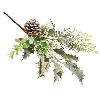 Grüner Zweig mit Rhizom 33 cm