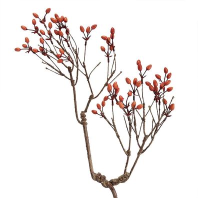 Clayre & Eef Dekoration Ast 30x4x85 cm Orange Kunststoff (Gr. 30x4x85 cm)