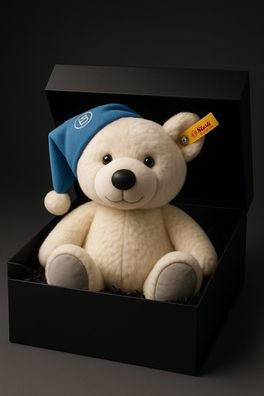 BMW Geschenkset in exklusiver Geschenkbox Teddy Plüschtier Kuscheltier