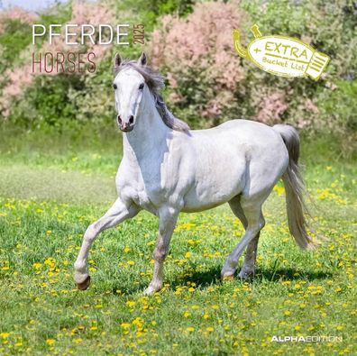 ALPHA 104070 Bildkalender Pferde - 30 x 60 cm