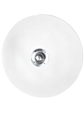 Wikinger Rundschild, Rohling aus Holz mit Stahlbuckel