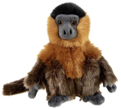 Heunec Bedrohte TIERE Kapuzineraffe Größe 24 cm