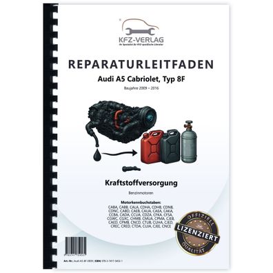 Audi A5 Typ 8F 2009-2016 Kraftstoffversorgung Benzinmotoren Reparaturanleitung