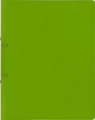 Brunnen Ringbuch A4 FACT! 25mm 2-Ringe hellgrün 106550552