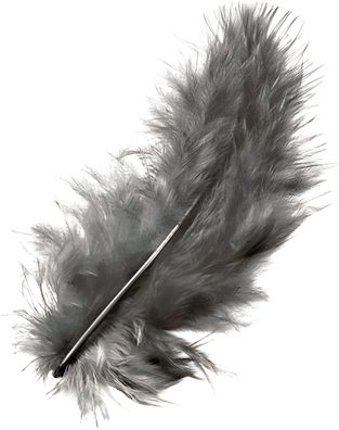 KNORR Prandell 216619002 Marabufedern ca. 10 cm weiss