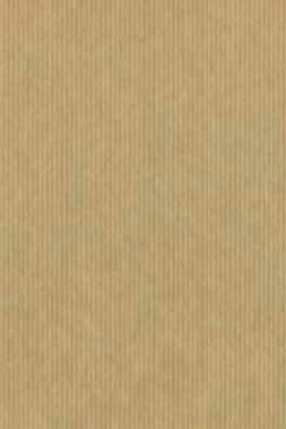 Brunnen Packpapier 75x100cm 80g Natron 1030151