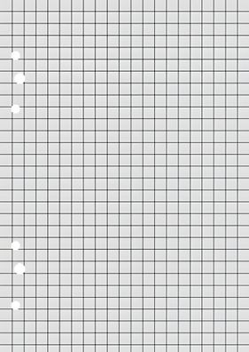 Brunnen Ringbucheinlage A6 kariert 50 Blatt 10661