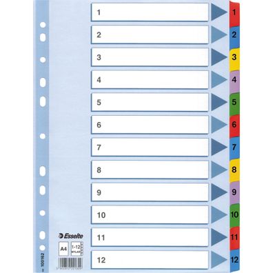 LEITZ Register A4 112 weiß 100162 Karton fbg. Tabs