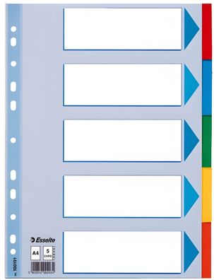 LEITZ Register A4 blanko 5tlg. REGIST. A4 KT 5BL FBG.T. VOLLE HÖHE