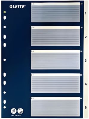 LEITZ Register A4 15 weiß mit blauem Deckblatt (Pappe)