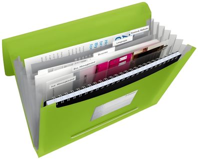 Fächermappe A4 6 F. grün Projektmappe mit 6 Fächern. Für 300Blat