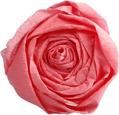 Clairefontaine Krepppapier 250x50 rosa