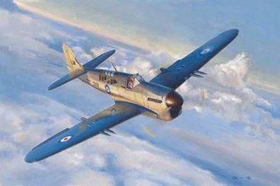 Trumpeter 1:48 5810 Fairey Firefly Mk.1 - NEU