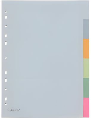 FSY PP-Register A4, 6-tlg., EURO-Lochung, 6-farbig 1 Stück Satz1 Stück