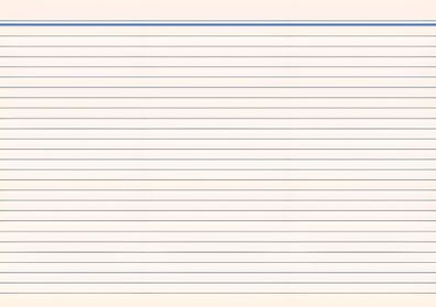 RNK Karteikarte A6 liniert 100St farblich sortiert