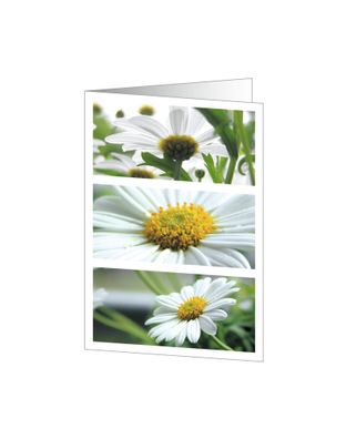 Sigel Faltkarte A6 220g Romance 25St DC171