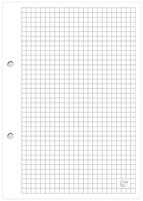 Interdruk Ringbucheinlagenblock A4 kariert 100 Blatt