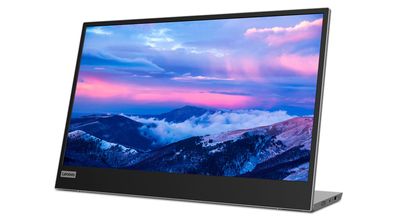 LENOVO LED L152 39.6cm IPS black 15.6/1920x1080/2xUSB-C