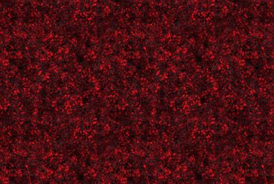 Vorbestellung verschiedener Stoffarten French Terry oder Jersey oder Softshell 427