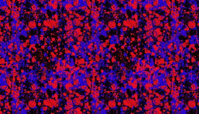 Vorbestellung verschiedener Stoffarten French Terry oder Jersey oder Softshell 429