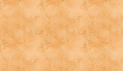 Vorbestellung verschiedener Stoffarten French Terry oder Jersey oder Softshell 436