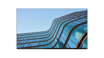 Lenovo ThinkVision E55 LFD - 140 cm (55") Diagonalklasse (138.7 cm (54.6")