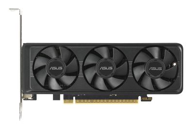 GeForce RTX 5060 LP BRK OC 8 GB, Grafikkarte