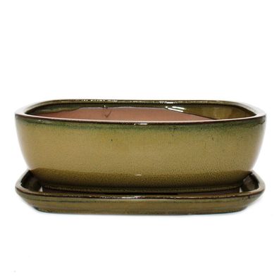 Bonsai-Schale mit Unterteller Gr. 5 Oliv-Braun rechteckig Modell GB5 L 31cm B