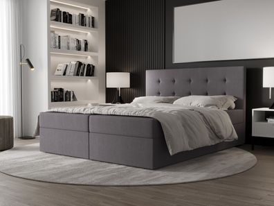AX LIVING Boxspringbett 160x200 mit Bettkasten Dahlina in Grau - Komfort&Eleganz